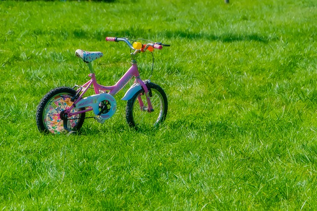 rowerek biegowy dla 2 latka